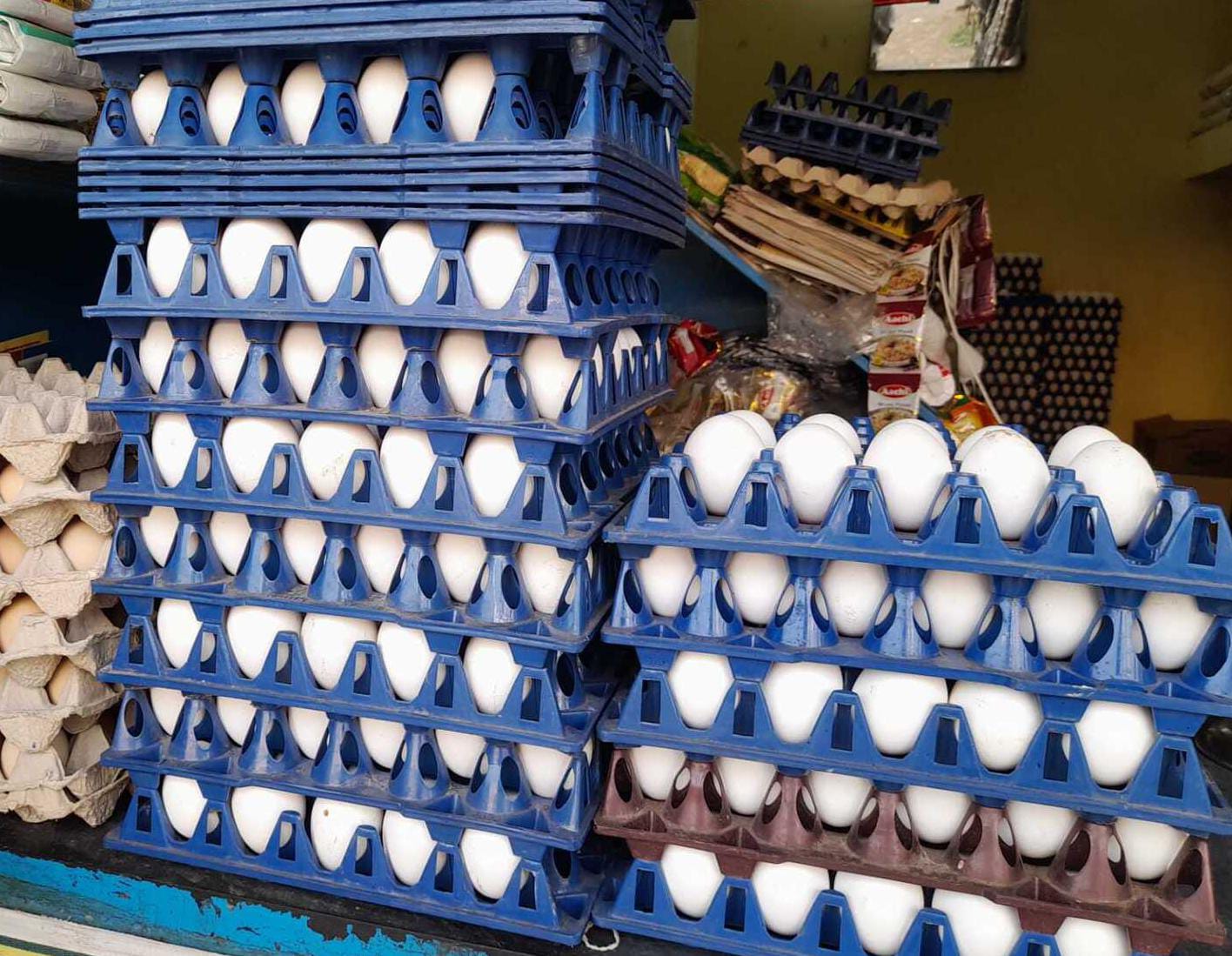 ਅੰਡੇ ਖਾਉਣ ਵਾਲਿਆਂ ਲਈ ਆਈ ਵੱਡੀ ਖਬਰ ਪੜੋ